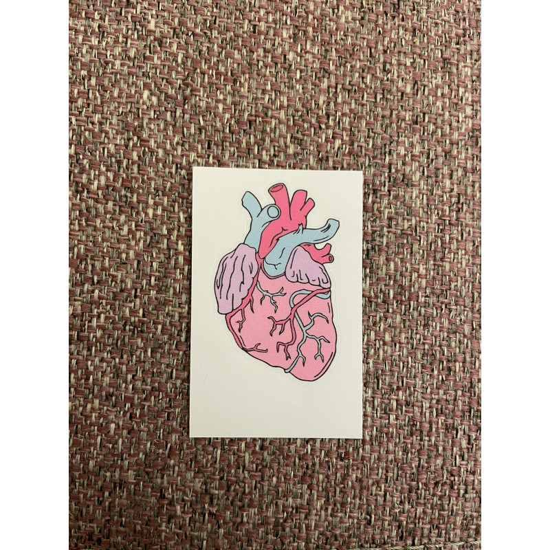 heart
