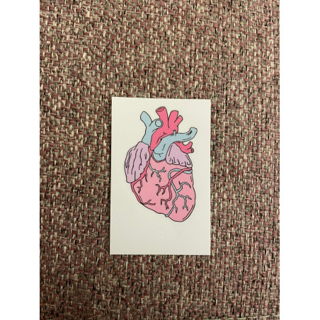 heart