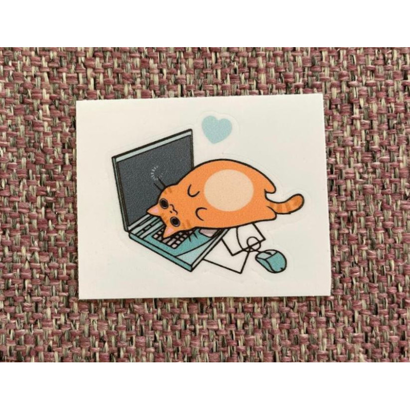 Cute cat on laptop
