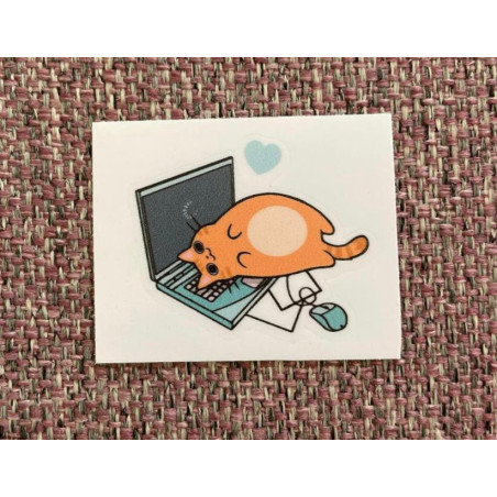 Cute cat on laptop