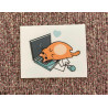 Cute cat on laptop