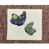 starry night butterflies