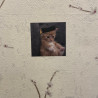 cute cat (graduation)