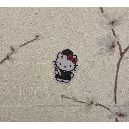 Graduation (Hello Kitty)
