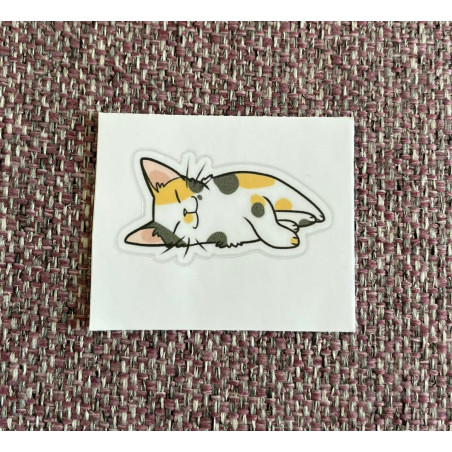 Cute calico  sleepy cat